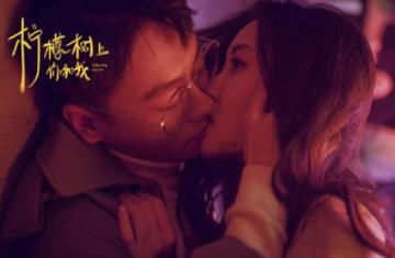 寻找萌宠松鼠
